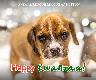 Holiday Cards - Happy Kwanzaa
