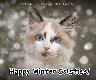 Holiday Cards - Happy Winter Solstice