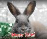 Holiday Cards - Happy Yule