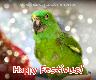 Holiday Cards - Happy Festivus