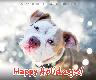 Holiday Cards - Happy Holidays