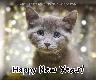 Holiday Cards - Happy New Year