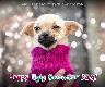 Holiday Cards - Happy Ugly Sweater Day!