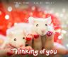 Holiday Cards - Thinking of you